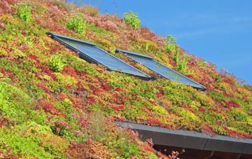 Hag Fold living roof systems