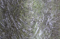 Hag Fold fibreglass roof work